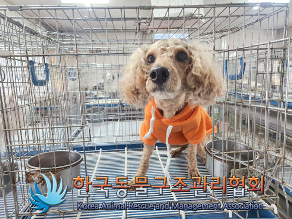 한국동물구조관리협회_411304202300163
